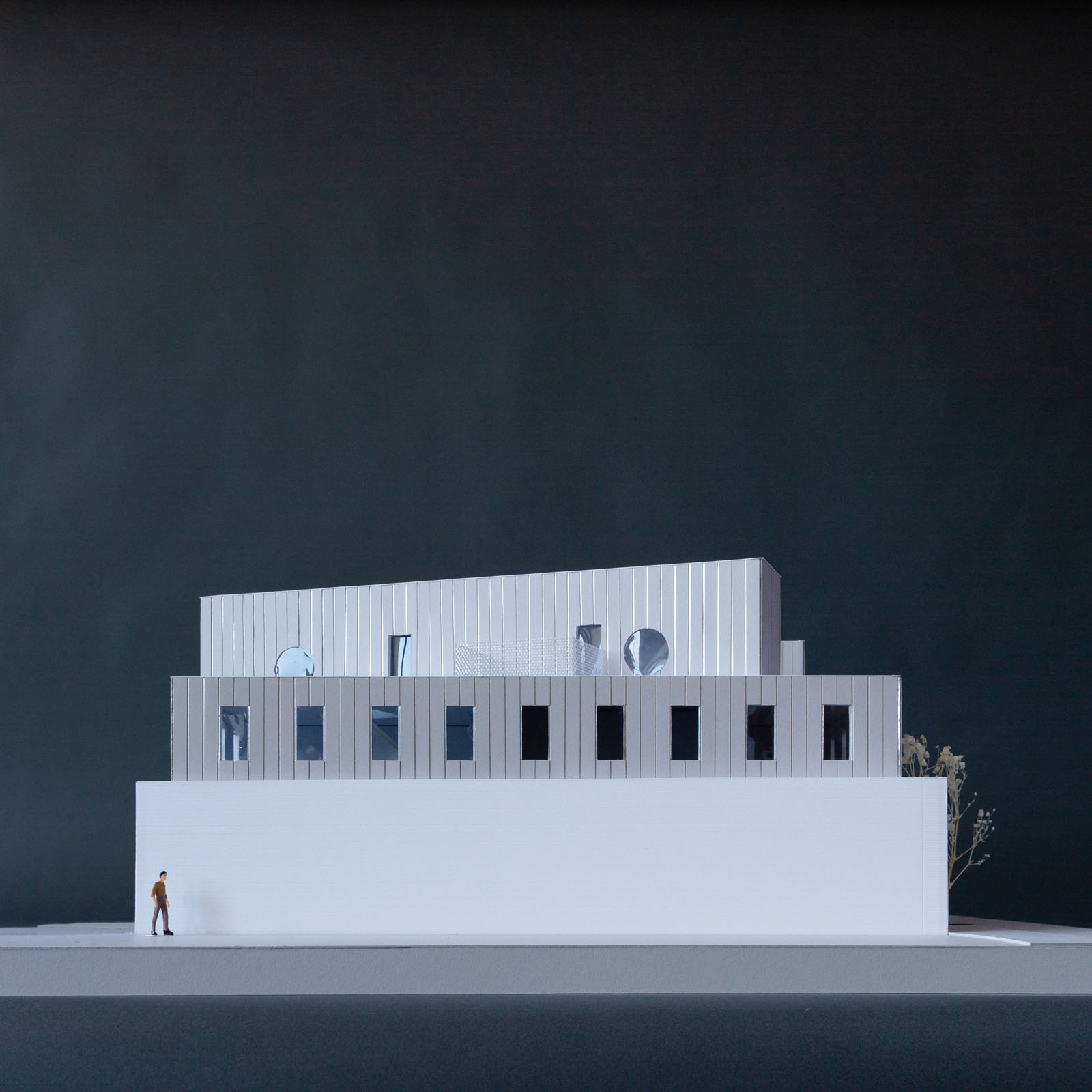 Lot line elevation view